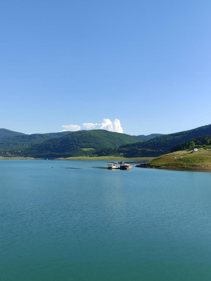 Vila Zapis - Zavojsko Jezero 皮罗特 外观 照片