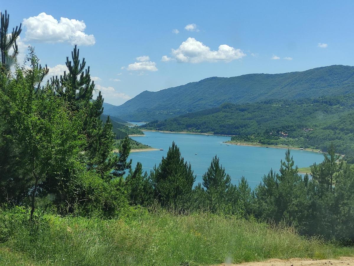Vila Zapis - Zavojsko Jezero 皮罗特 外观 照片